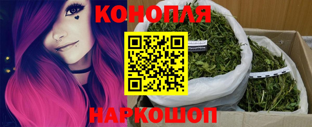 Конопля гибрид Новый Уренгой